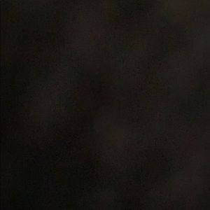 Meet your Posher, Travis